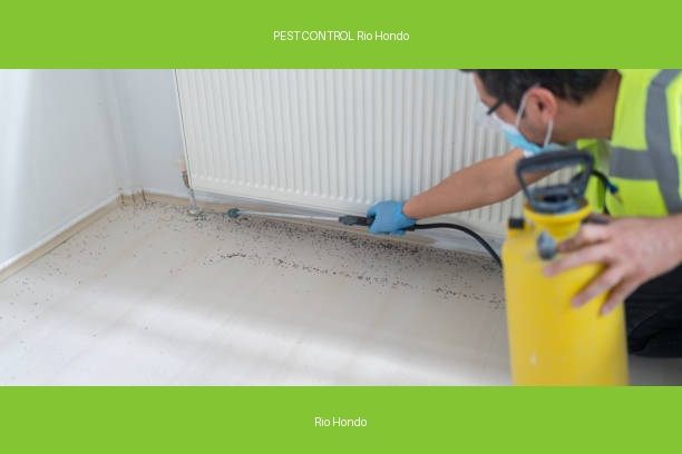 PEST CONTROL Rio Hondo